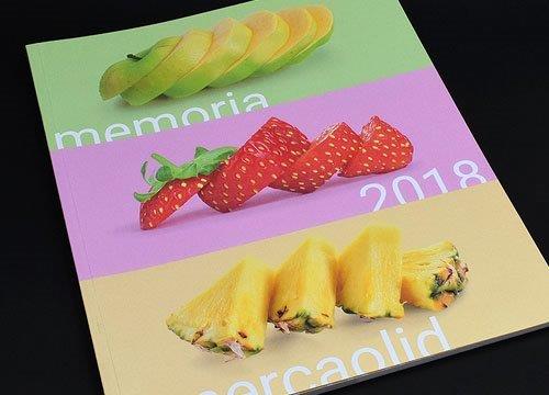 diseño y maquetación memoria